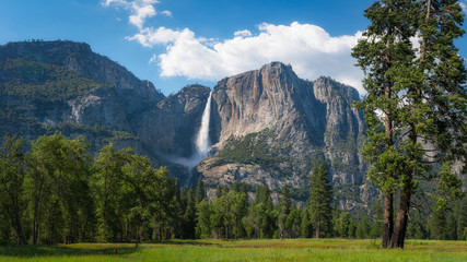 Yosemite National Park Panorama  - obrazy, fototapety, plakaty