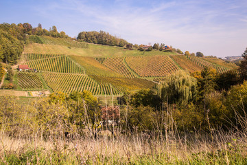 Weinbau in Slowenien