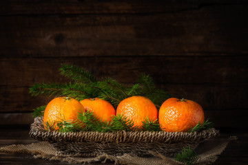 Fresh Clementines or Tangerines and Xmas Tree Branches