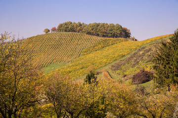 Weinbau in Slowenien