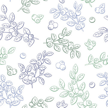 Blueberry graphic color seamless pattern sketch illustration vector