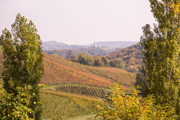 Weinbau in Slowenien