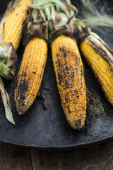 Roasted corn on the grill © Deyan Georgiev