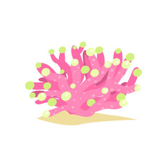 Colored soft tube shaped coral from tropical reefs. Sea and ocean wildlife concept.