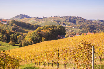 Obraz premium Weinberge in der Südsteiermark im Herbst