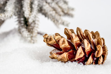 Christmas cone or strobilus in snow under snowflakes and xmas tree in background. Christmas and New Year concept. Christmas greeting card.