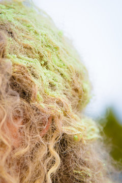 Cheveux poudr&eacute;s