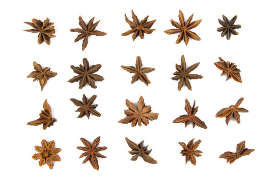 Indian Spice Star anise the famous ingredient for use in curry and soup