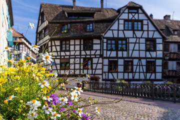 Street in Strasbourg with flower decoration.