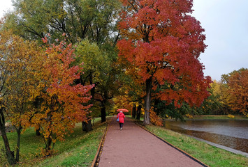 Autumn in Terletsky Park in Moscow