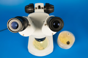 Scientific microscope and petri dishes for scientific research on blue background