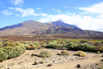 El Teide National Park on Tenerife Island, Canary Islands, Spain