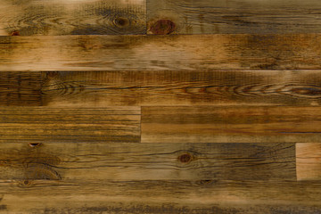 Old Wood Tree Texture Background Pattern.	