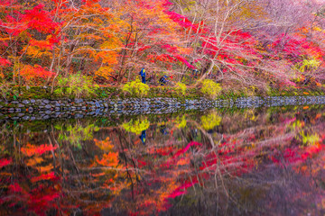 Autumn of Naejangsan National Park,South Korea.