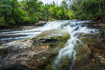 Waterfall in the tropical rainforest landscape