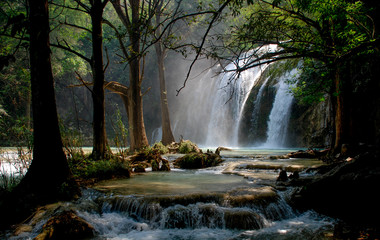 Landscape in chiapas
