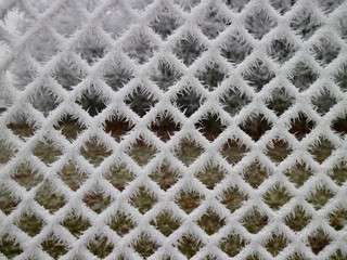 Maschendrahtzaun im Eispanzer