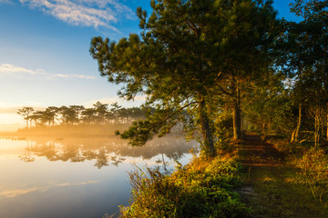 Fog rises over Marsh Lake at sunrise in Pine forest