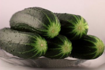  fresh crop of cucumbers