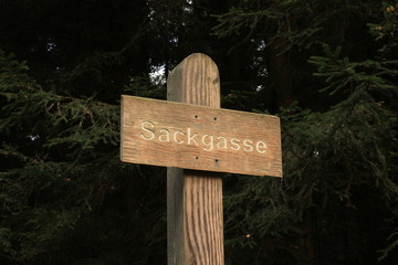 Eine Sackgasse im Wald