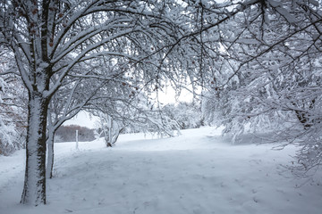 Obraz premium Beautiful snowy tunnel