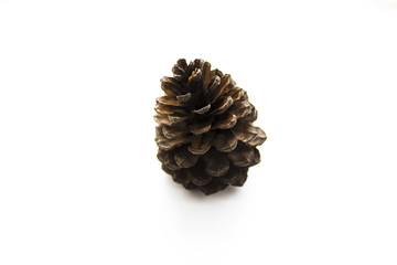 chistmas wood pine cone on white isolated