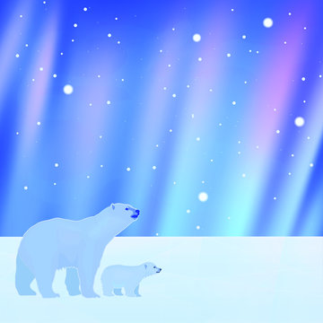 Polar bears and aurora borealis background