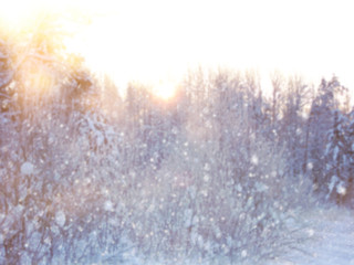 Blurry and abstract magical winter landscape photo. Glitter overlay.