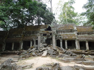 Fototapeta premium Ancient ruin at Ta Prohm Temple in Siem Reap, Cambodia