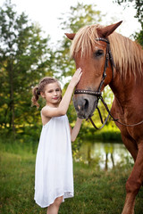 Little girl and brown horse. Summer meadow.