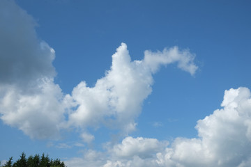 Cloud formation in sky looking like a dragon