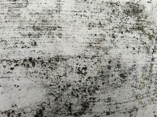 Nature Texture Background Wall with Grunge Paint