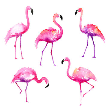 Set of Hand-Painted Watercolor Flamingos