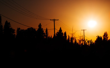 Sunset Silhouettes