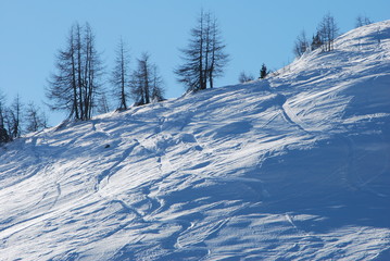 Obraz premium Winter