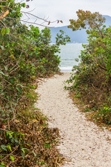 Beach path in Daniela beach