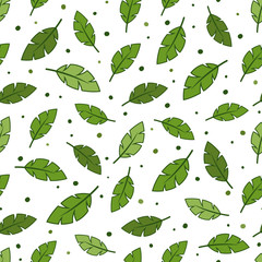 Fototapeta premium Feather Seamless Pattern Background, Vector illustration