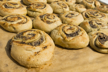 Mohnschnecken vom Blech