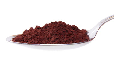 Cacao powder on the spoon