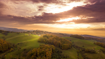 Aerial view of the autumn forest