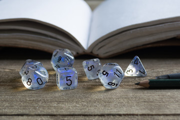 Gaming Dice With Journal