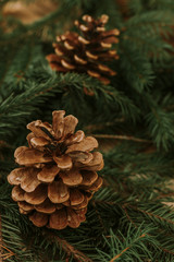 Christmas background. Green branch with needles on wooden table.