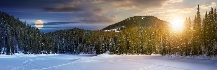 day and night concept of winter spruce forest. location lake Synevyr, Ukraine, frozen in winter....