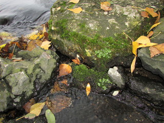 autumn, autumn day, park, park walk, shore, stones, water, stream, river, foliage