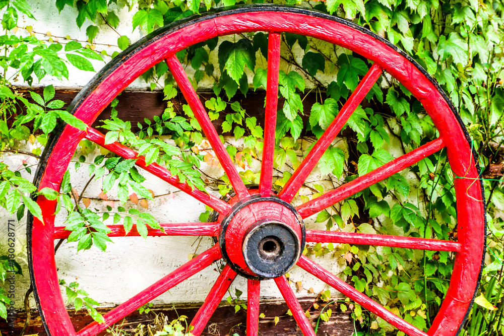 Wall mural old wagon wheel