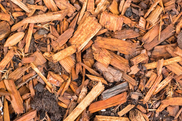 Pine tree bark chip background texture