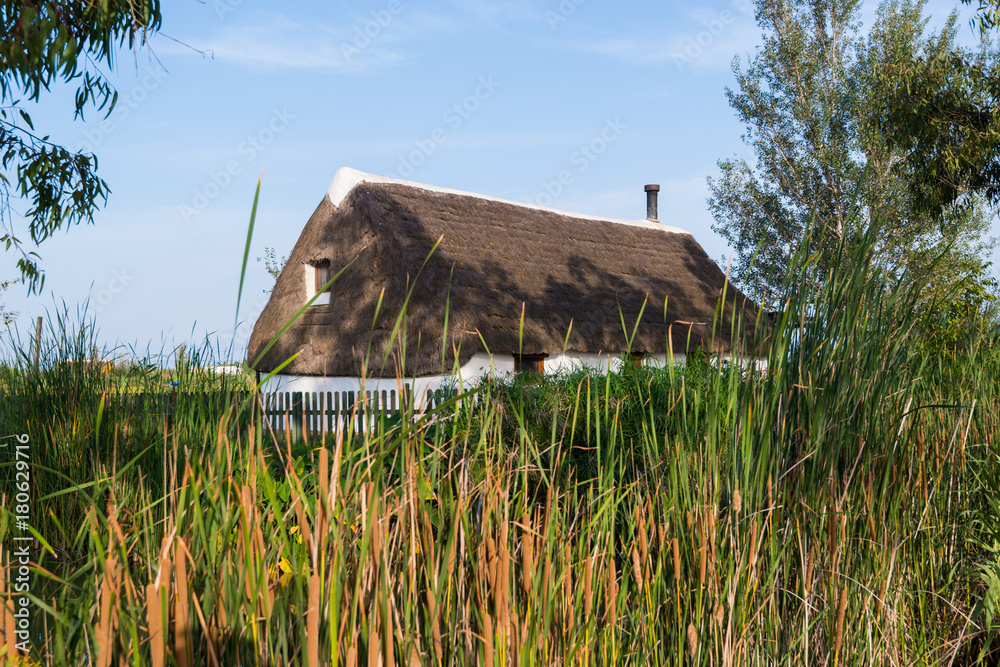 Wall mural thatched house at delta ebro,spain,