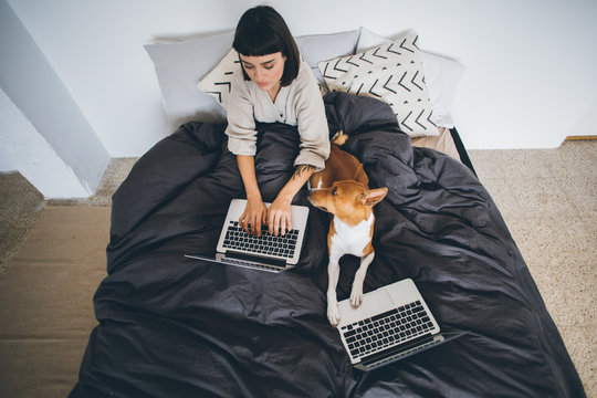 Top view, over head shot of cute pretty young woman, student or business employee works remotely from home, sits in bed under covers and blanket, comfortable works on laptop with best friend puppy dog