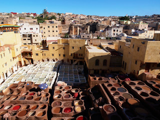 Coloration of leather in a ancient traditional leather tanneries tannery, Fes, Morocco, Africa