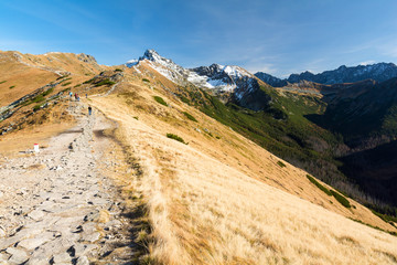 path in Tatra mountain in autumn, Poland © lukaszimilena